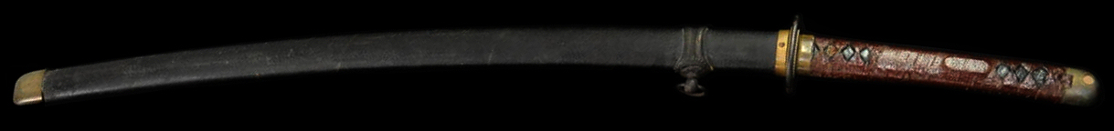 ultimate_last_stage_type3